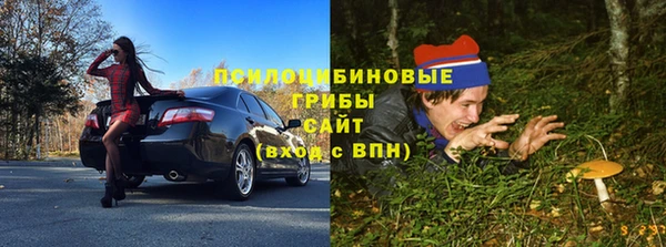 ГАЛЛЮЦИНОГЕННЫЕ ГРИБЫ Михайловка