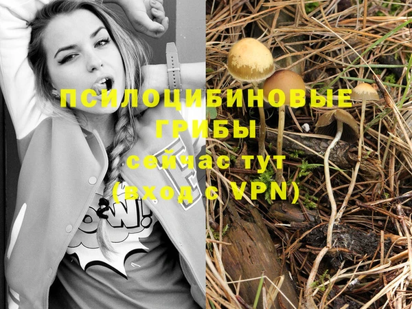 каннабис Михайловск