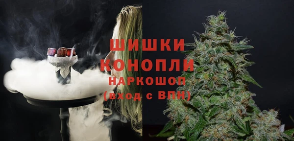 ГАЛЛЮЦИНОГЕННЫЕ ГРИБЫ Михайловка