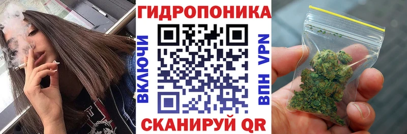 даркнет какой сайт  Сольвычегодск  Каннабис тримм  хочу наркоту 